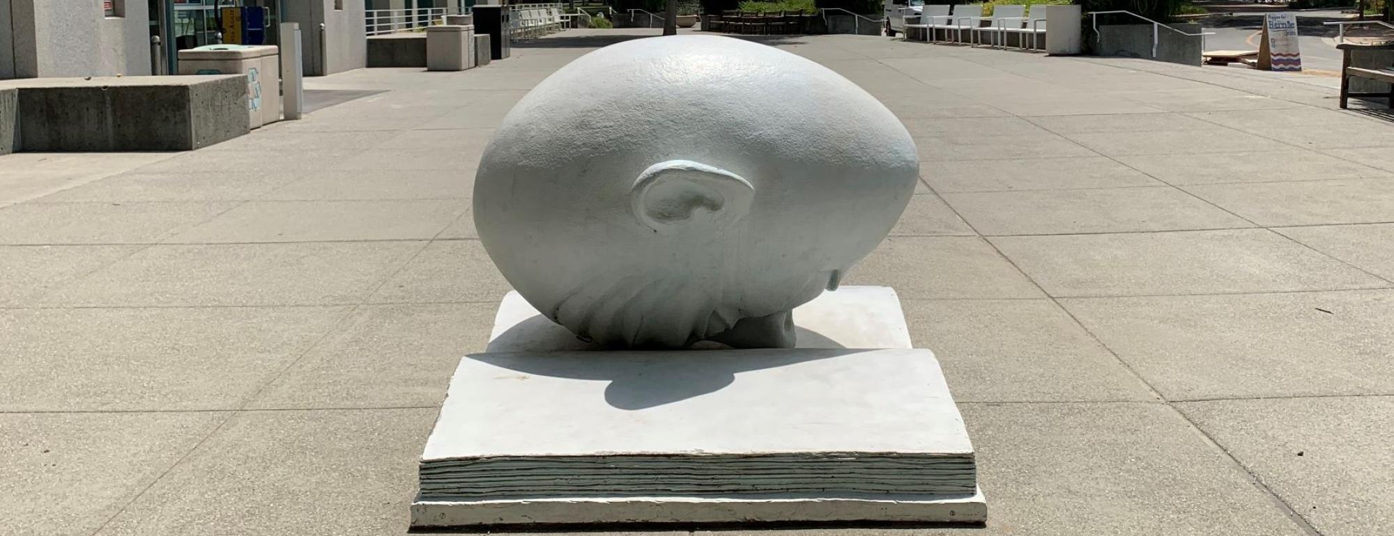 Bookhead: A UC Davis Egghead — The head is face-down, with a furrowed brow and its nose buried in an open book.